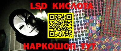 крисы Севастополь
