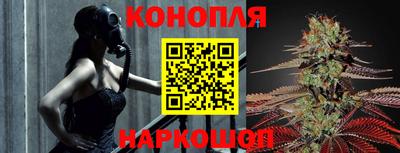 крисы Севастополь