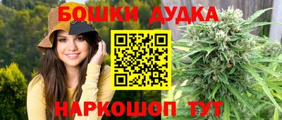 крисы Свободный