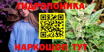 крисы Севастополь