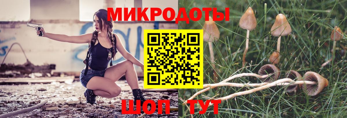 дарнет шоп  Псилоцибиновые грибы прущие грибы  Вход с VPN  Псилоцибиновые грибы мицелий  Симферополь 