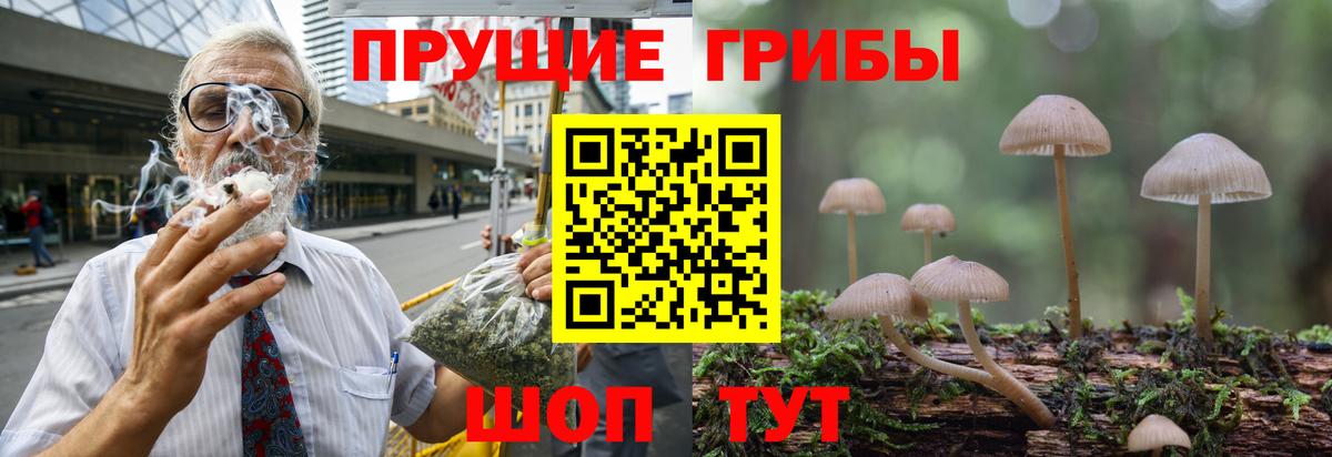 Псилоцибиновые грибы мухоморы Симферополь