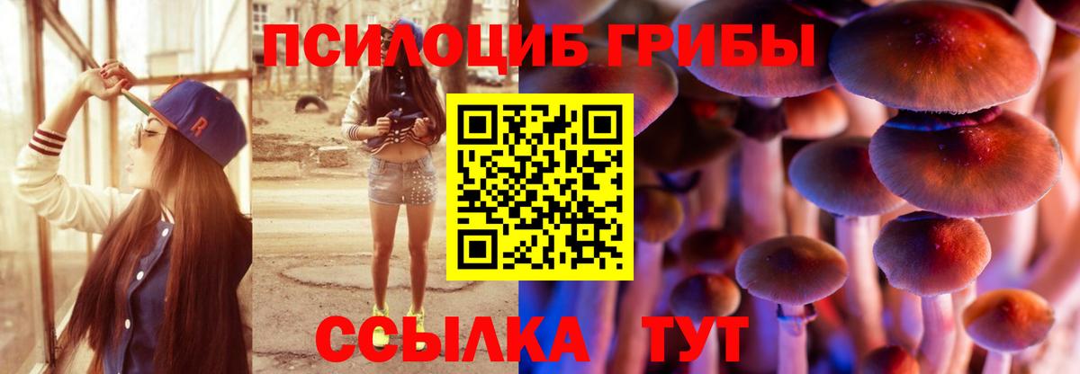 Псилоцибиновые грибы MAGIC MUSHROOMS Симферополь